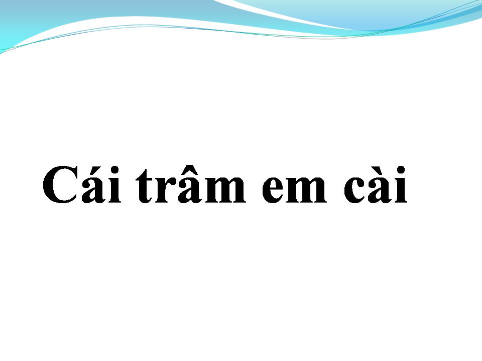 Lời bài hát CÁI TRÂM EM CÀI