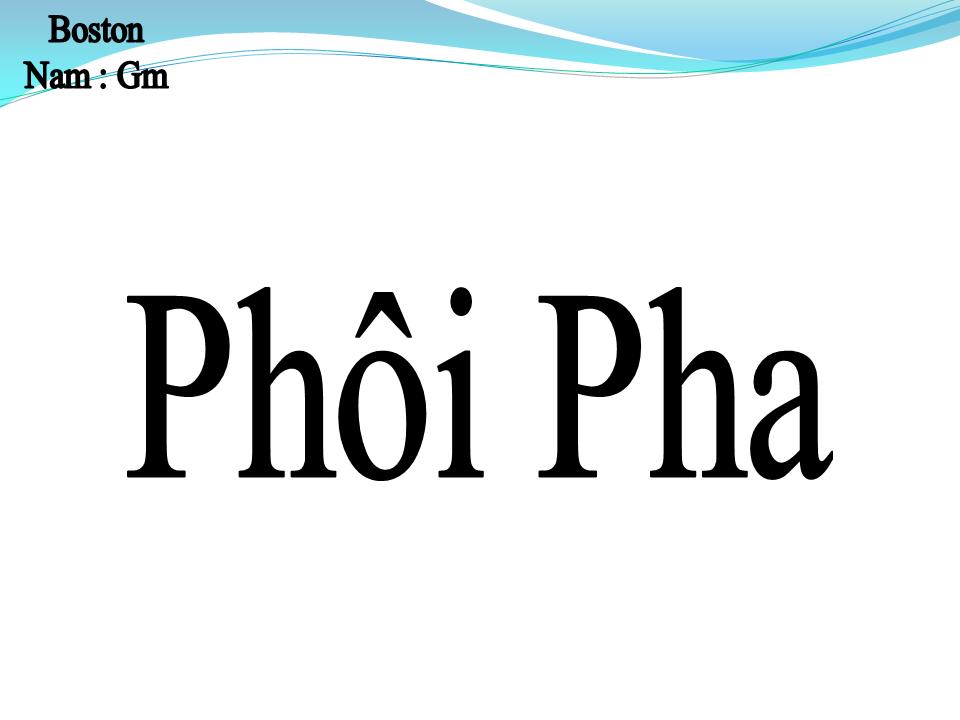 Lời bài hát PHÔI PHA