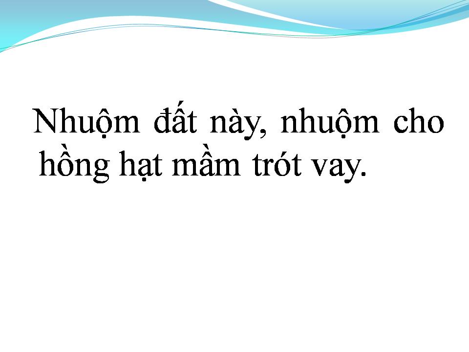 Lời bài hát PHÚC ÂM BUỒN