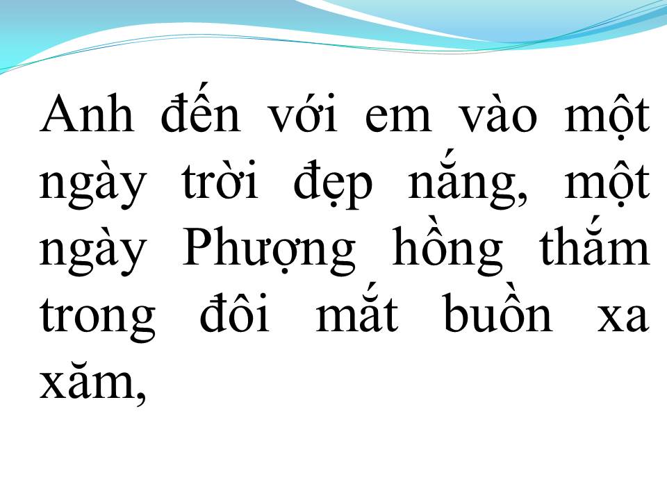 Lời bài hát PHƯỢNG BUỒN