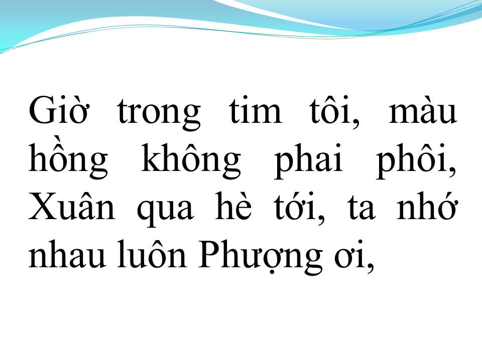 Lời bài hát PHƯỢNG BUỒN