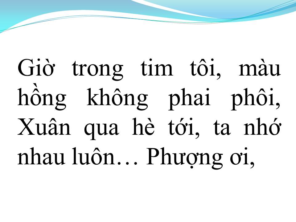 Lời bài hát PHƯỢNG BUỒN