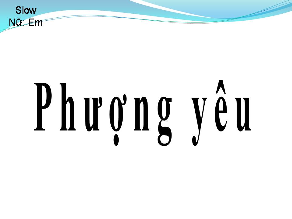 Lời bài hát PHƯỢNG YÊU