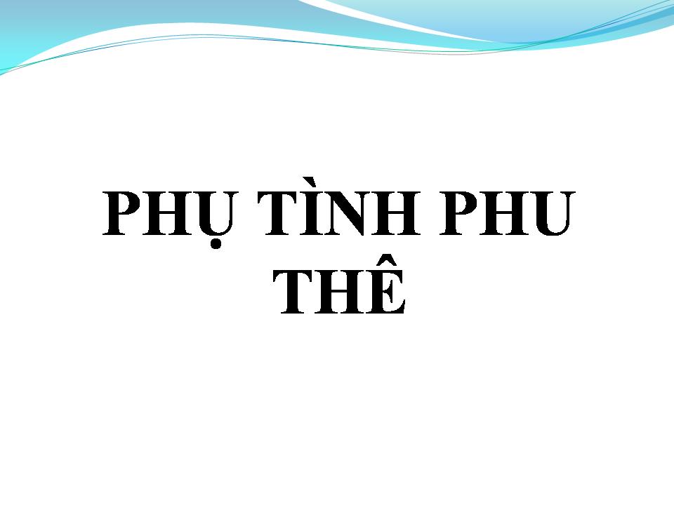 Lời bài hát PHỤ TÌNH PHU THÊ