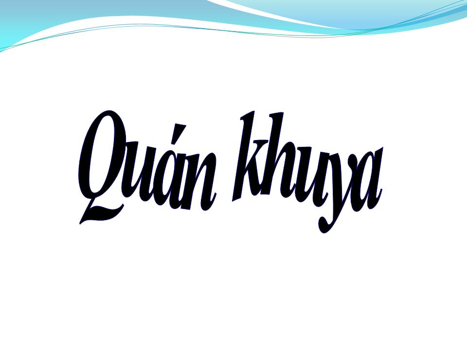 Lời bài hát QUÁN KHUYA