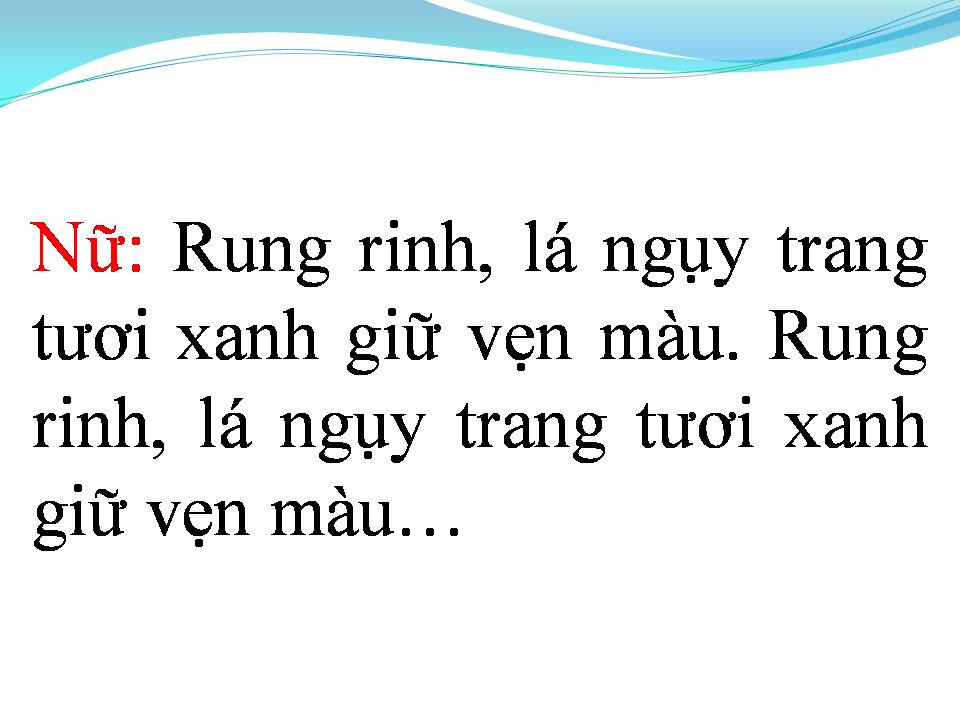 Lời bài hát RẶNG TRÂM BẦU