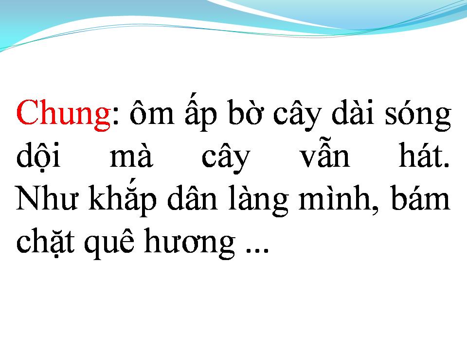 Lời bài hát RẶNG TRÂM BẦU