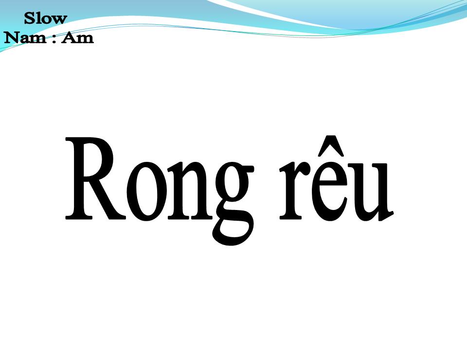Lời bài hát RONG RÊU