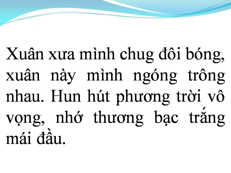 Lời bài hát RỪNG CHƯA THAY LÁ