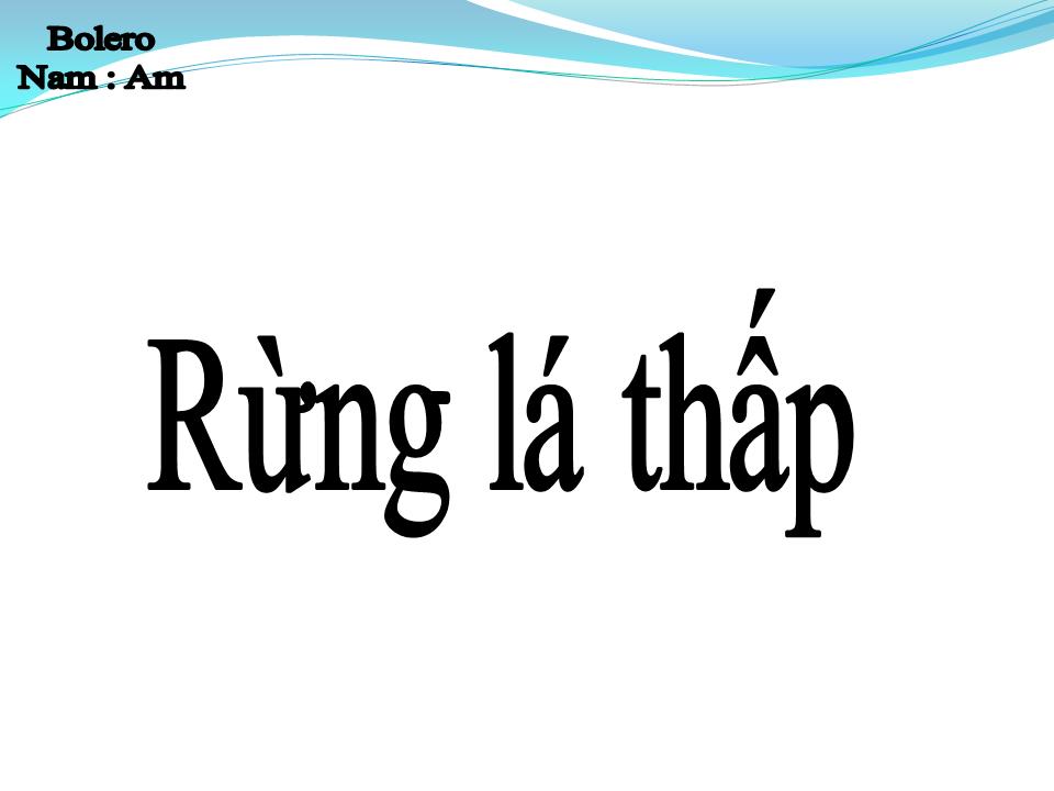 Lời bài hát RỪNG LÁ THẤP