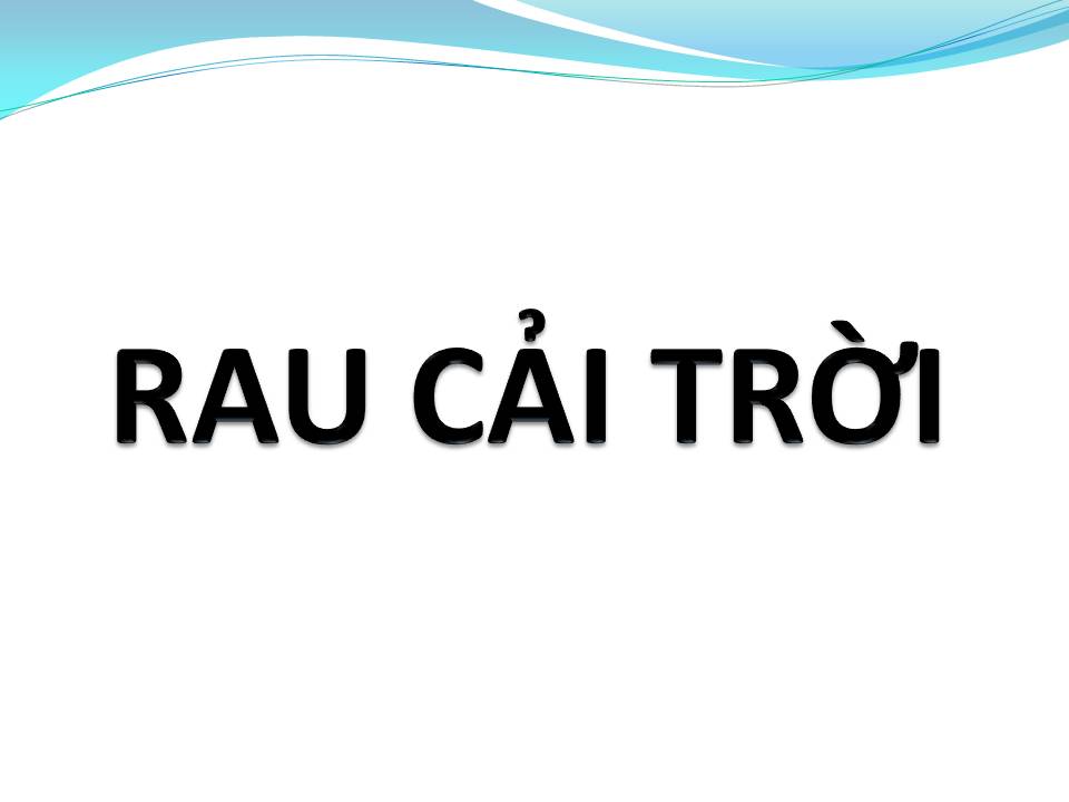 Lời bài hát RAU CẢI TRỜI
