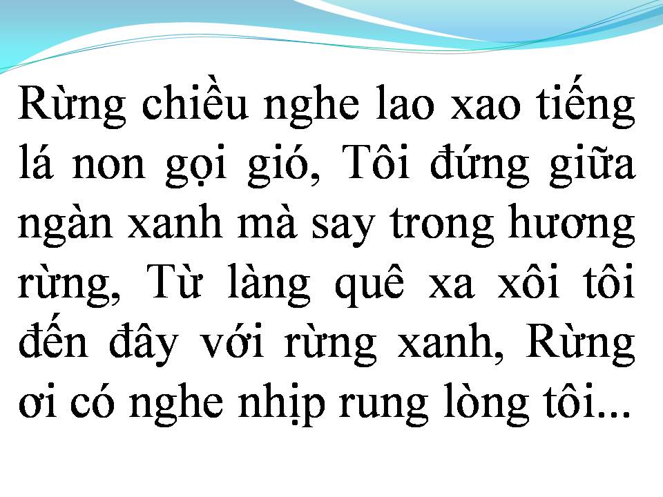 Lời bài hát RỪNG CHIỀU