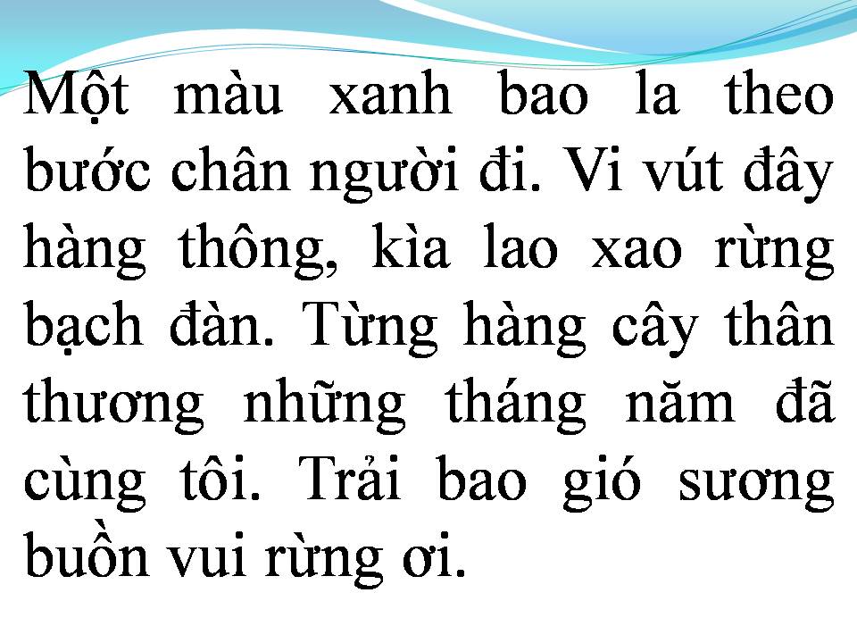 Lời bài hát RỪNG CHIỀU