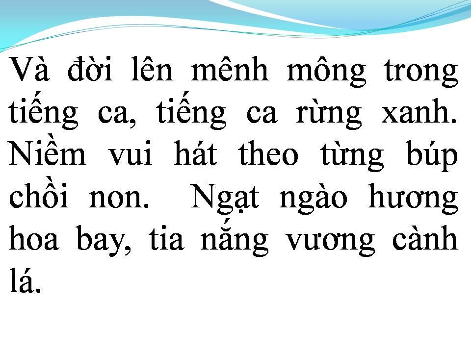 Lời bài hát RỪNG CHIỀU