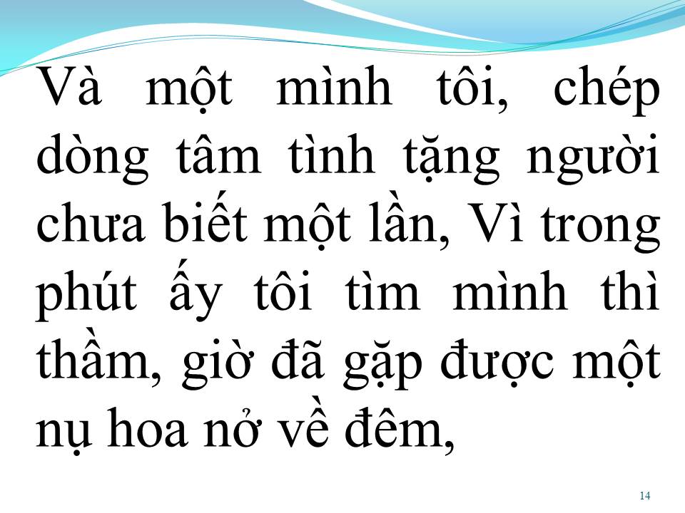 Lời bài hát HOA NỞ VỀ ĐÊM