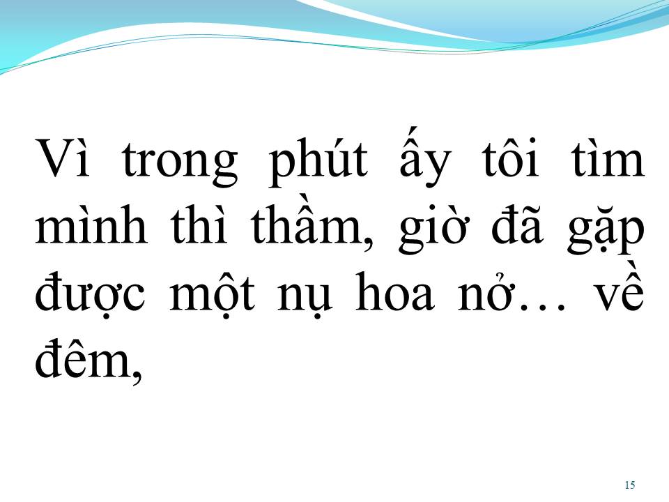 Lời bài hát HOA NỞ VỀ ĐÊM