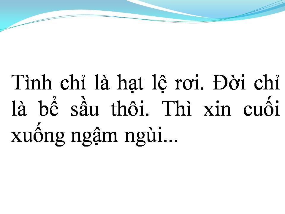 Lời bài hát GIỌT SẦU TRINH NỮ