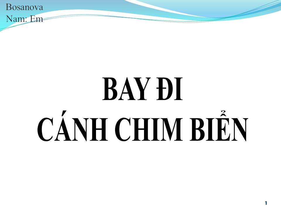 Lời bài hát BAY ĐI CÁNH CHIM BIỂN