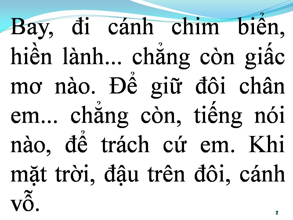 Lời bài hát BAY ĐI CÁNH CHIM BIỂN