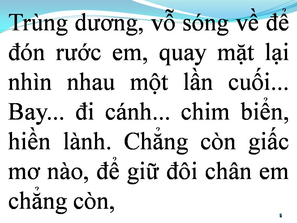 Lời bài hát BAY ĐI CÁNH CHIM BIỂN