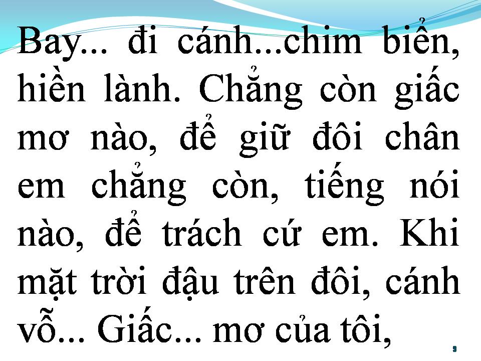 Lời bài hát BAY ĐI CÁNH CHIM BIỂN