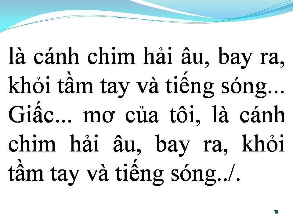 Lời bài hát BAY ĐI CÁNH CHIM BIỂN