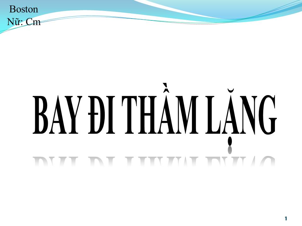 Lời bài hát BAY ĐI THẦM LẶNG