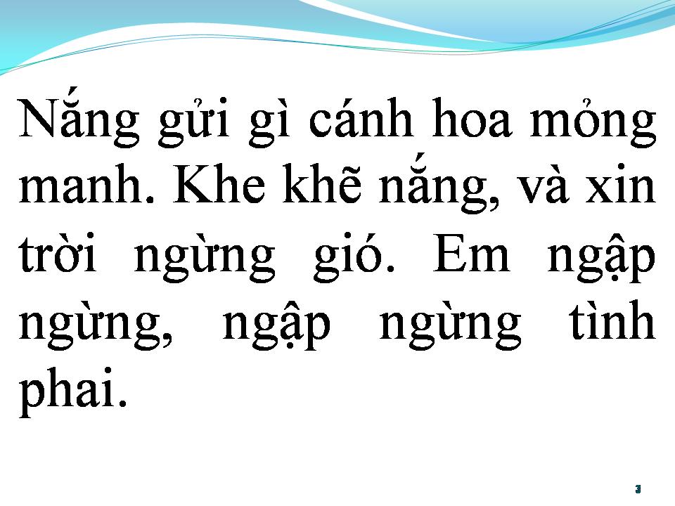 Lời bài hát BẰNG LĂNG TÍM