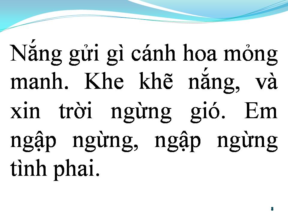 Lời bài hát BẰNG LĂNG TÍM