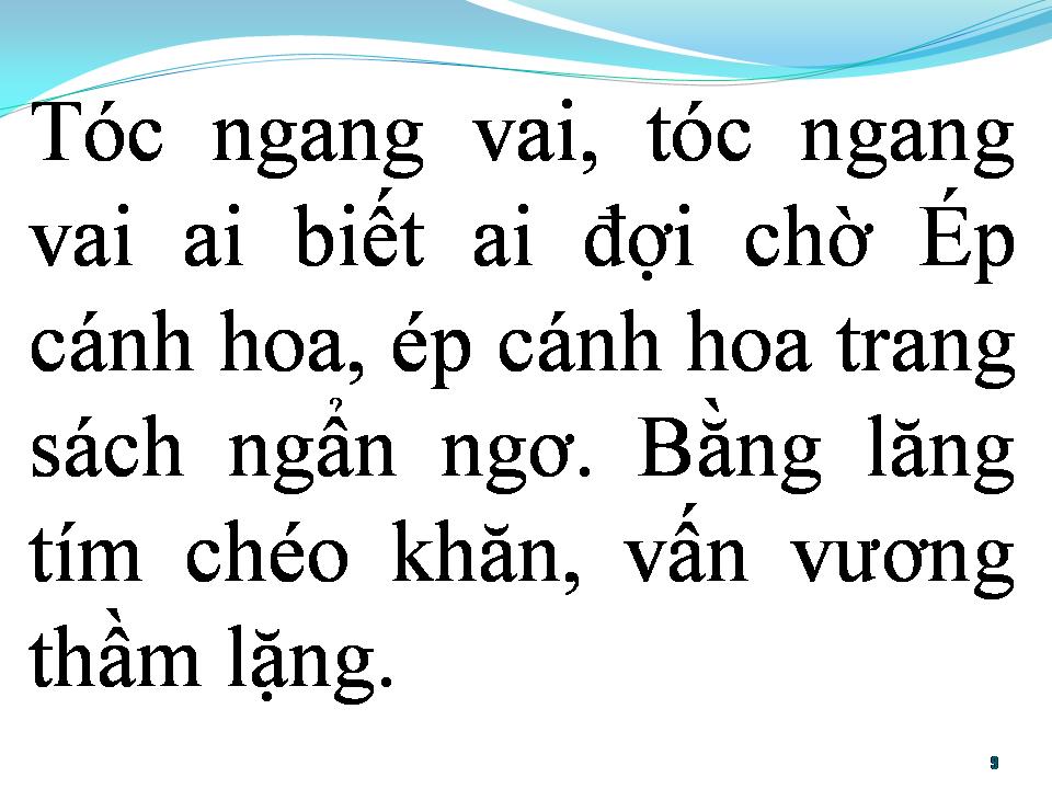 Lời bài hát BẰNG LĂNG TÍM