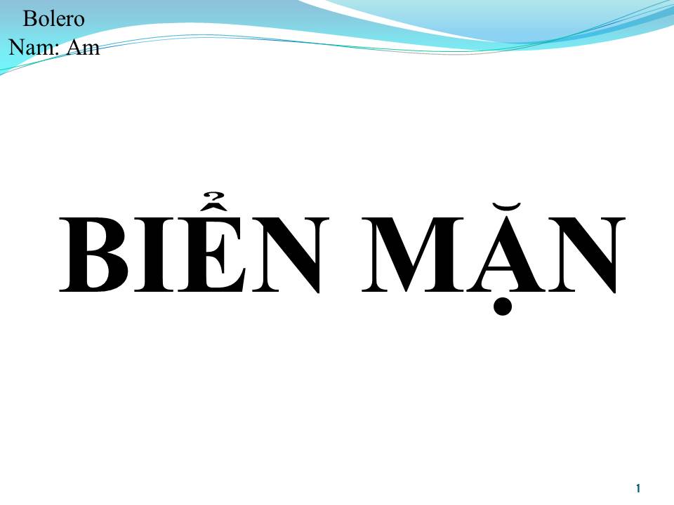 Lời bài hát BIỂN MẶN