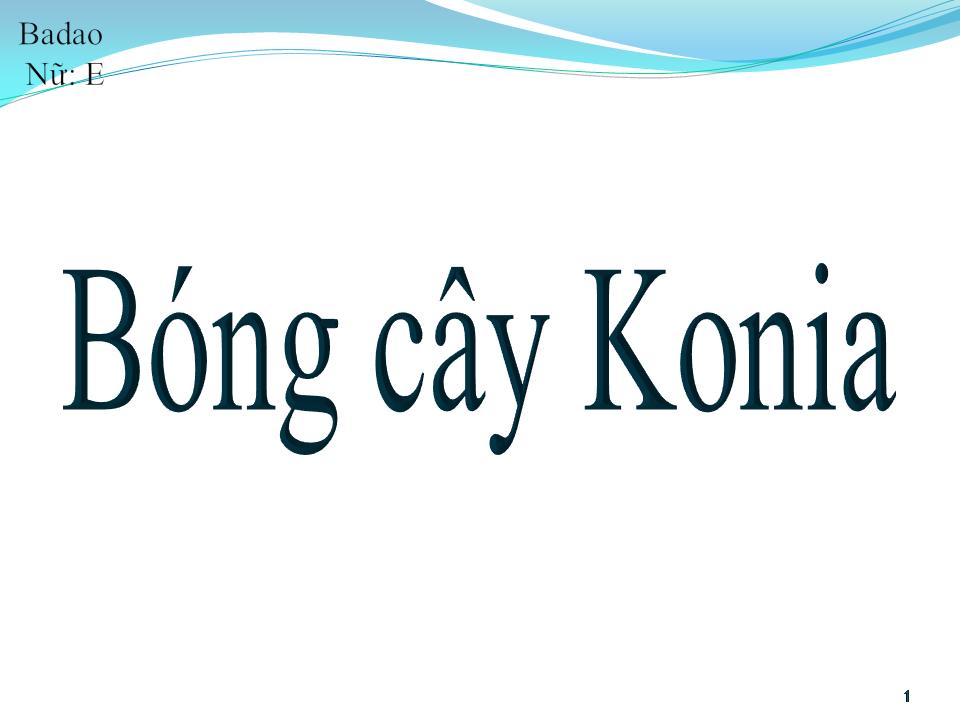 Lời bài hát BÓNG CÂY KƠ NIA