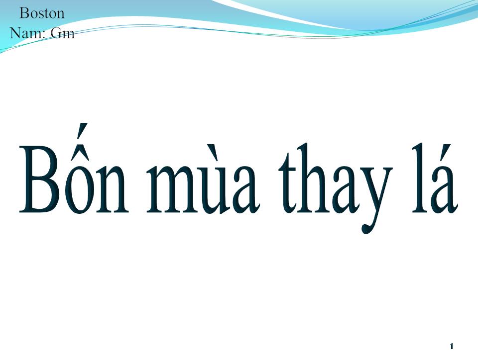 Lời bài hát BỐN MÙA THAY LÁ