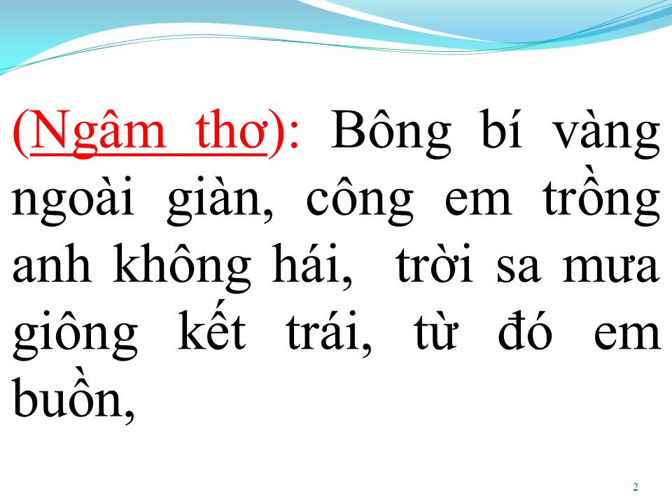 Lời bài hát BÔNG BÍ VÀNG