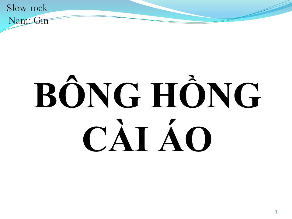 Lời bài hát BÔNG HỒNG CÀI ÁO