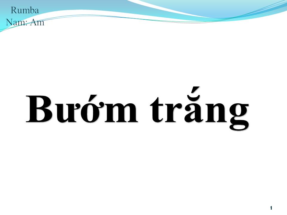 Lời bài hát BƯỚM TRẮNG
