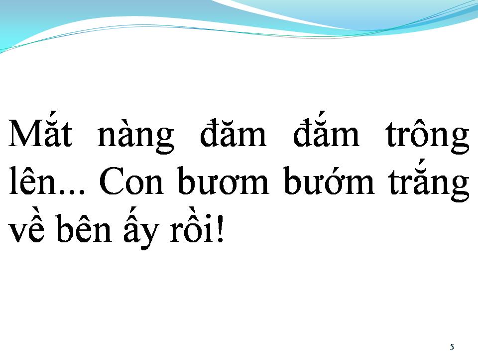 Lời bài hát BƯỚM TRẮNG