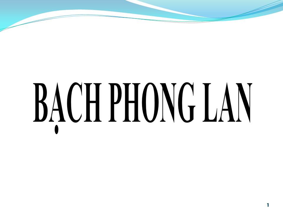 Lời bài hát BẠCH PHONG LAN