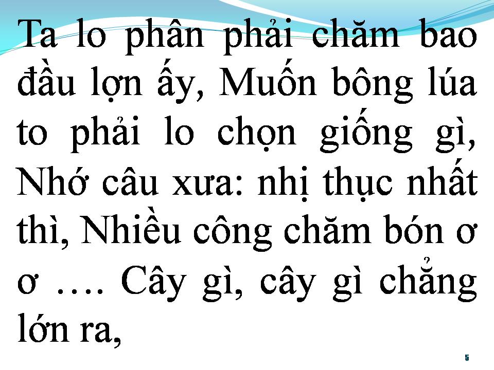 Lời bài hát BÀI CA NĂM TẤN