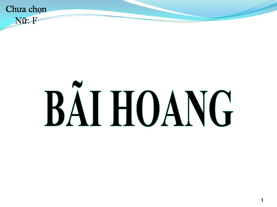 Lời bài hát BÃI HOANG