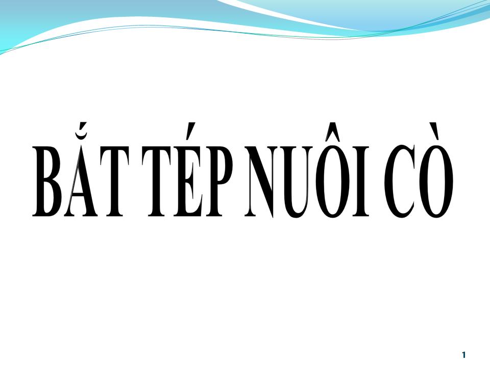 Lời bài hát BẮT TÉP NUÔI CÒ