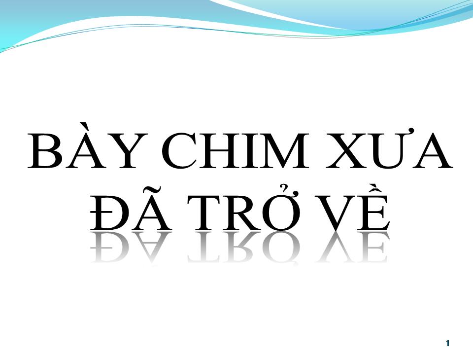 Lời bài hát BẦY CHIM XƯA ĐÃ TRỞ VỀ