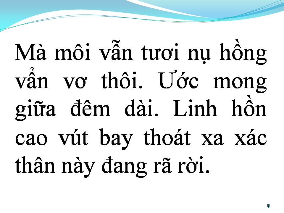 Lời bài hát BAY ĐI CÔ ĐƠN