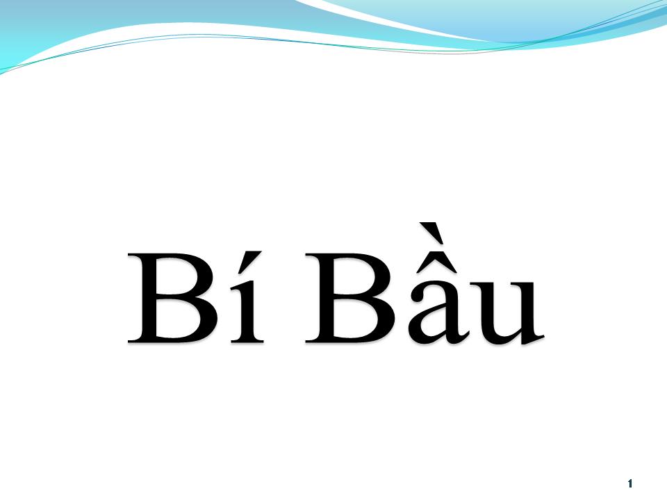 Lời bài hát BÍ BẦU