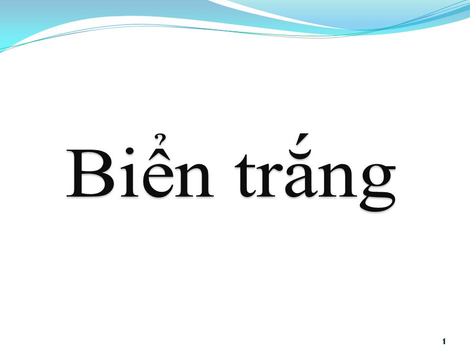 Lời bài hát BIỂN TRẮNG