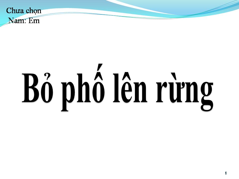 Lời bài hát BỎ PHỐ LÊN RỪNG