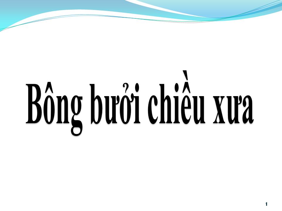 Lời bài hát BÔNG BƯỞI CHIỀU XƯA