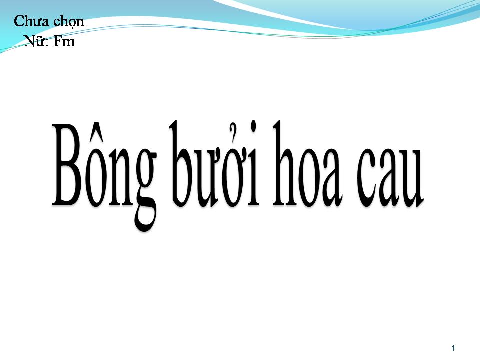 Lời bài hát BÔNG BƯỞI HOA CAU