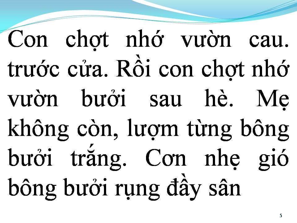 Lời bài hát BÔNG BƯỞI HOA CAU
