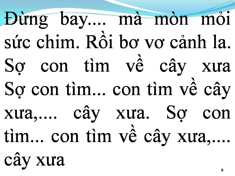 Lời bài hát BÔNG BƯỞI HOA CAU